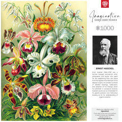 Imagination Puzzle: Ernst Haeckel Orchidea / Orchid 1000 elementów