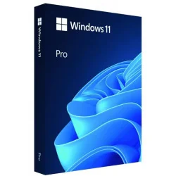 Oprogramowanie Microsoft Windows Pro 11 PL Box 64bit USB