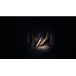 REANIMAL - PS5