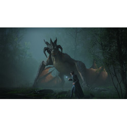 Hogwarts Legacy - Nintendo Switch