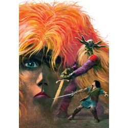 Comic Puzzle: Thorgal  The Betrayed Sorceress / Zdradzona Czarodziejka Puzzles 500