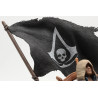 Assassin's Creed Black Flag Resynced Collector's Edition - PS5
