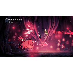 Hollow Knight - PS5