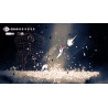 Hollow Knight: Silksong -  Nintendo Switch 2