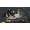 The Last Guardian - PS4