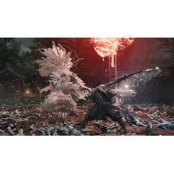 Onimusha: Way of the Sword - Nintendo Switch 2