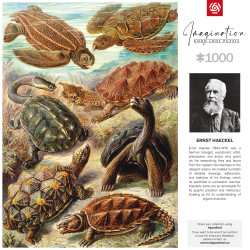 Imagination Puzzle: Ernst Haeckel Chelonia / Żółwie morskie, 1000 elementów