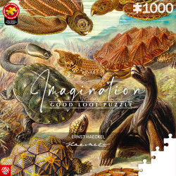 Imagination Puzzle: Ernst Haeckel Chelonia / Żółwie morskie, 1000 elementów