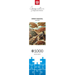 Imagination Puzzle: Ernst Haeckel Chelonia / Żółwie morskie, 1000 elementów