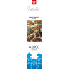 Imagination Puzzle: Ernst Haeckel Chelonia / Żółwie morskie, 1000 elementów