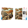 Imagination Puzzle: Ernst Haeckel Chelonia / Żółwie morskie, 1000 elementów