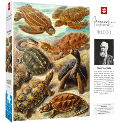 Imagination Puzzle: Ernst Haeckel Chelonia / Żółwie morskie, 1000 elementów