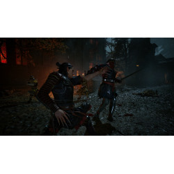 The Blood of Dawnwalker​ - PS5