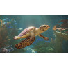 Planet Zoo 2 - PS5