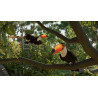 Planet Zoo 2 - PS5