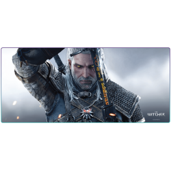 The Witcher (Wiedźmin)...