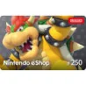 Nintendo eShop digital code 250 zł (Nintendo)