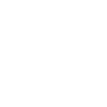 Steam