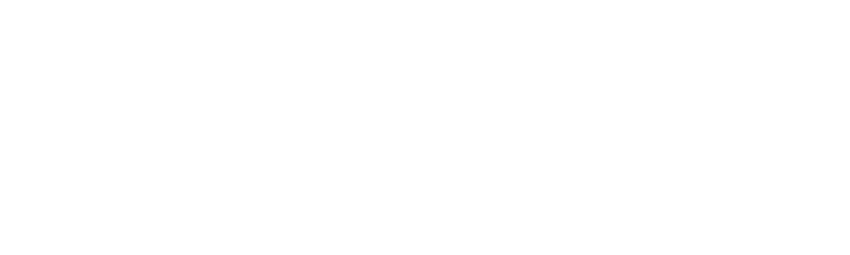 Steam