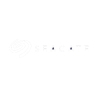 Seagate